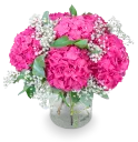 Pink Eleonora